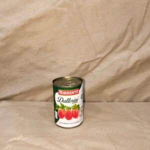 TORRENTE DATTERINI GR400