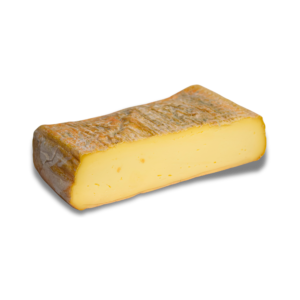 TALEGGIO GR250