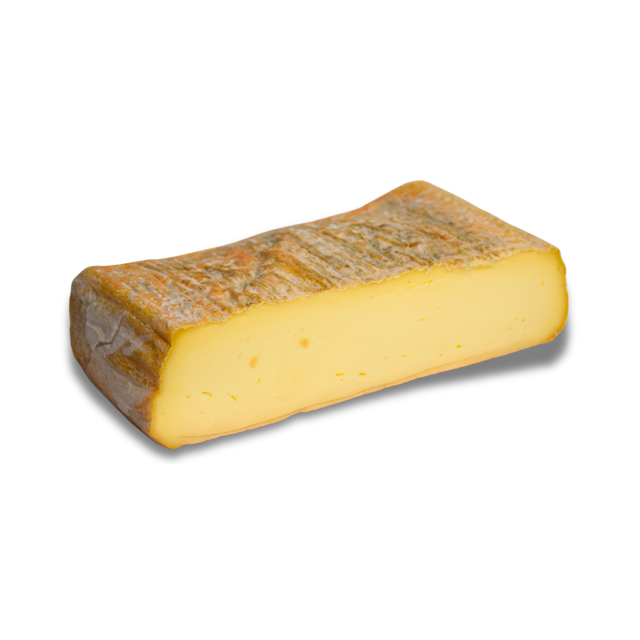 TALEGGIO GR250